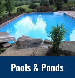 Pools and Ponds