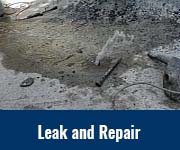 Leak and Repair